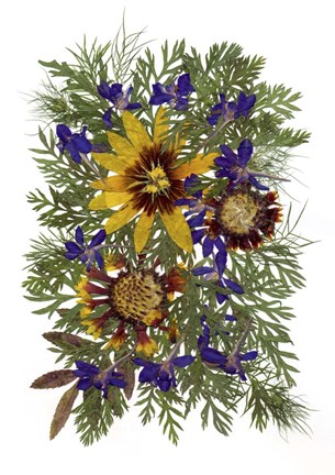 Framed Flower Fantasy 10 Print