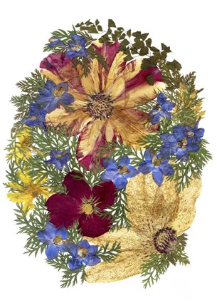 Framed Flower Fantasy 11 Print