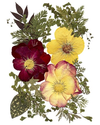 Framed Flower Fantasy 15 Print