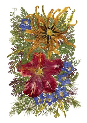 Framed Flower Fantasy 35 Print