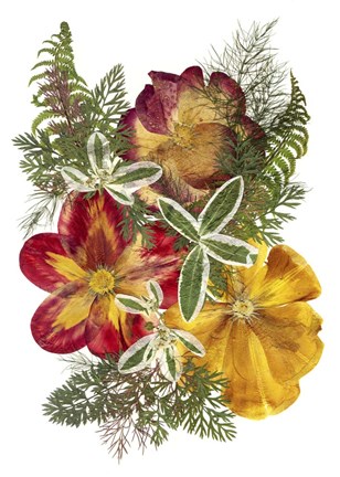 Framed Flower Fantasy 38 Print