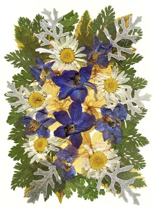 Framed Flower Fantasy 48 Print