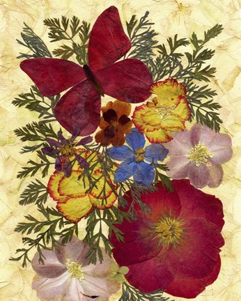 Framed Butterfly And Flowers 2 Print