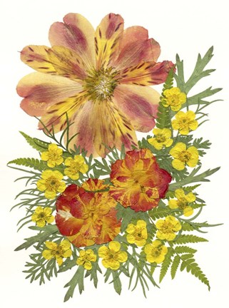 Framed Dried Flowers 5 Print