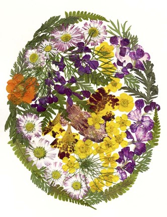 Framed Dried Flowers 6 Print