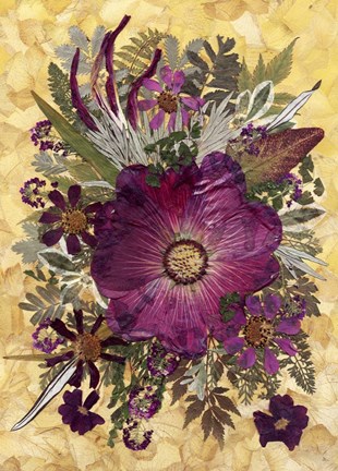 Framed Dried Flowers 14 Print