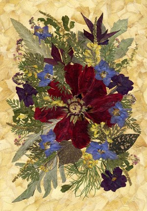 Framed Dried Flowers 19 Print