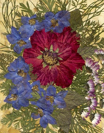 Framed Dried Flowers 24 Print