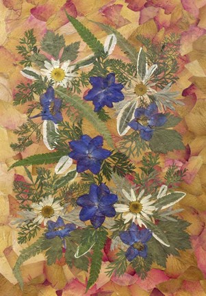 Framed Dried Flowers 25 Print
