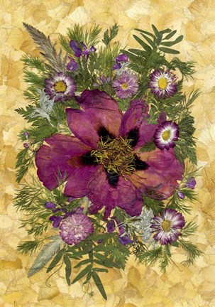 Framed Dried Flowers 33 Print