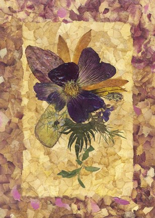 Framed Dried Flowers 34 Print