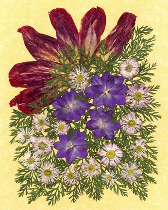 Framed Dried Flowers 35 Print