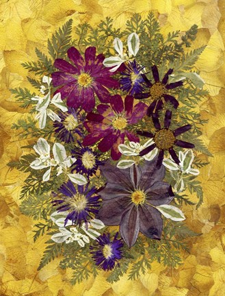 Framed Dried Flowers 36 Print