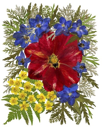 Framed Dried Flowers 41 Print