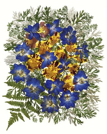 Framed Dried Flowers 43 Print