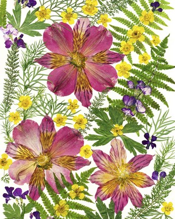 Framed Dried Flowers 45 Print