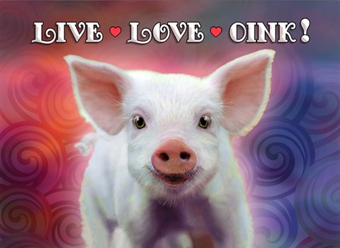 Framed Live Love Oink Print