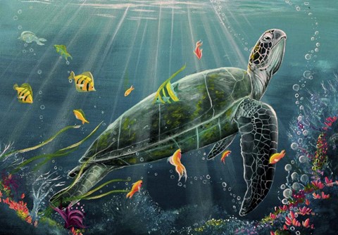 Framed Reef Turtle Print