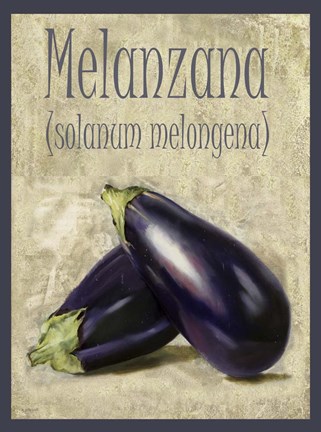 Framed Melanzana Solanum Melongena Print