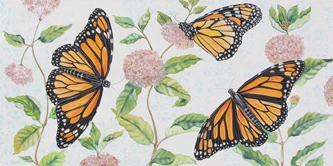 Framed Monarch Majesty Print