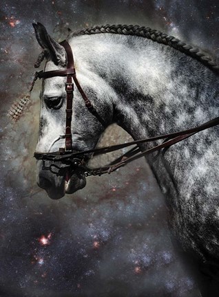 Framed Horse Among the Stars Print