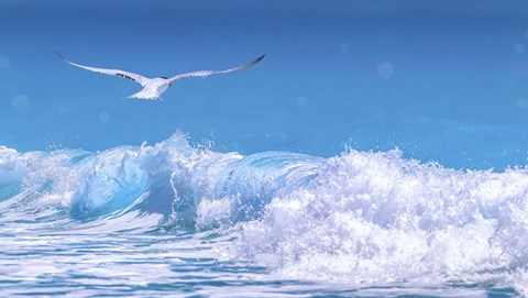 Framed Gull In The Waves Print