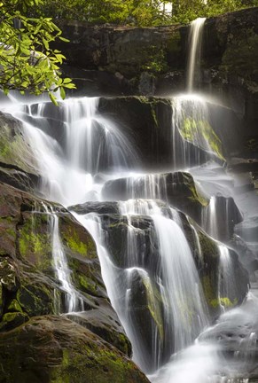Framed Smoky Mountains Waterfall Print