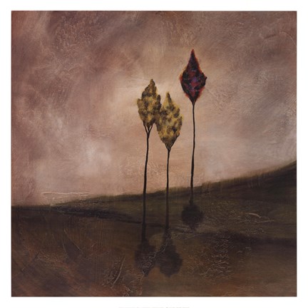 Framed Evening Reach Print