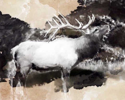 Framed Forest Elk Call Print