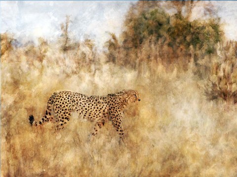 Framed Golden Savanna Cheetah Print