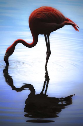 Framed Depths of Reflections Print