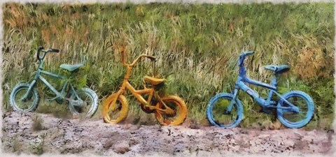 Framed Tri Bike Print