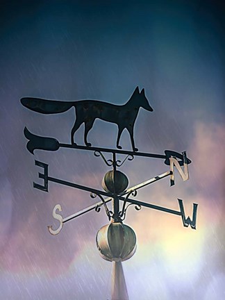 Framed Rain On The Old Fox Weather Vane Print