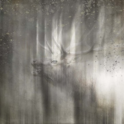 Framed Antique Wildlife Elk Print