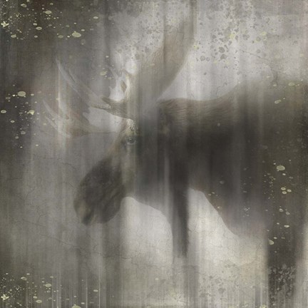 Framed Antique Wildlife Moose Print