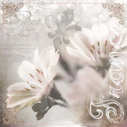 Framed Paris 02 Print