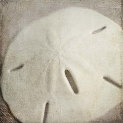 Framed Under the Sea 02 Print