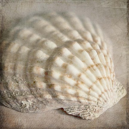 Framed Under the Sea 04 Print