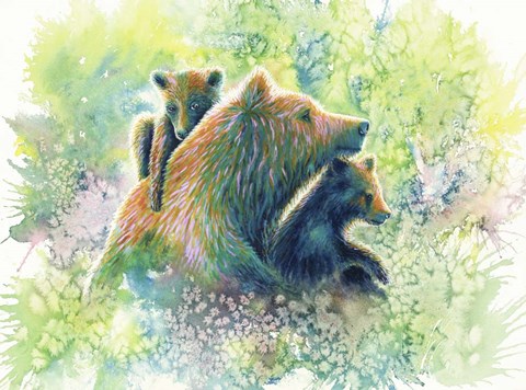 Framed Mother Grizzly Bear Print