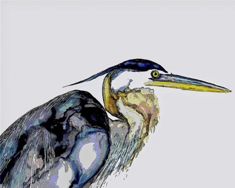 Framed Blue Heron Print