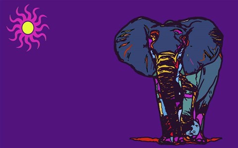 Framed Tooga the Elephant Print