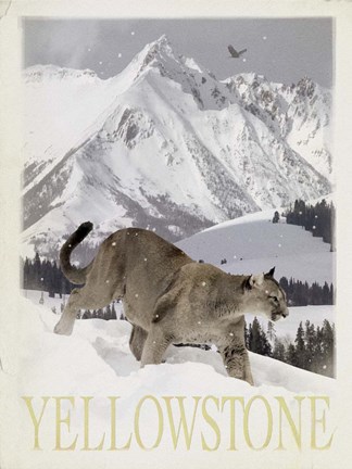 Framed Mountain Lion Print
