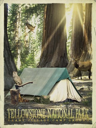 Framed Redwood Camping Print