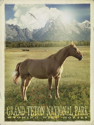 Framed Wild Horse Print