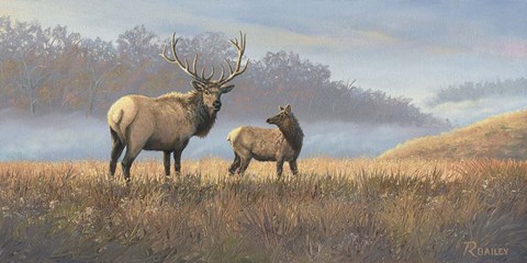 Framed Morning Mist Print