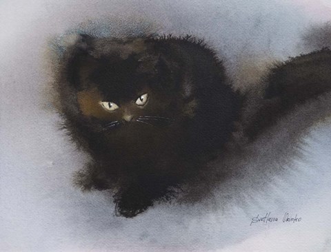 Framed Black Kitten Print