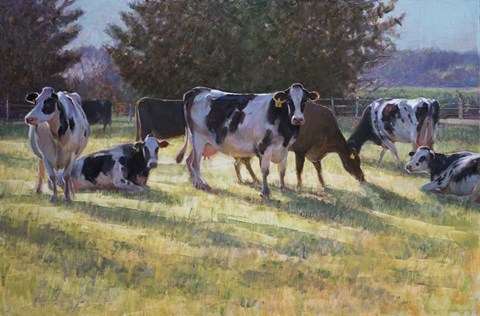 Framed Dairy Cows Print