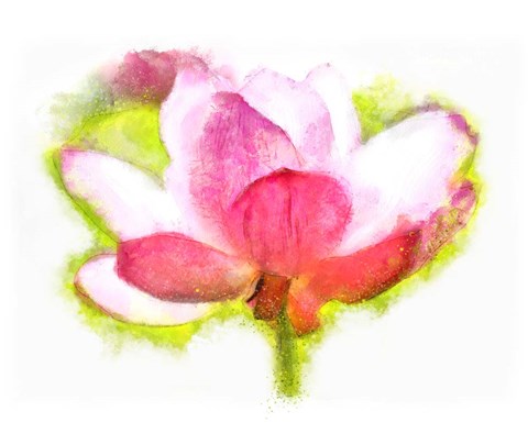 Framed Karmic Propagation Print