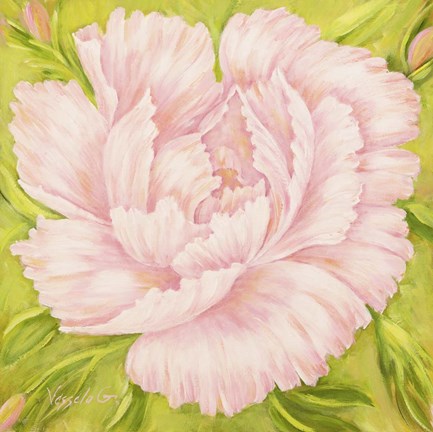 Framed Pink Peony Print