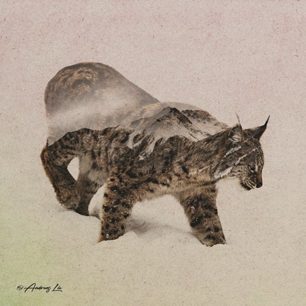 Framed Lynx - North Print